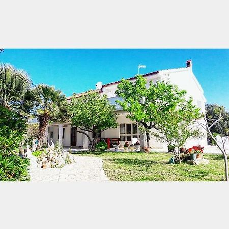 Apartman Miljenko - Matovica Kampor Εξωτερικό φωτογραφία