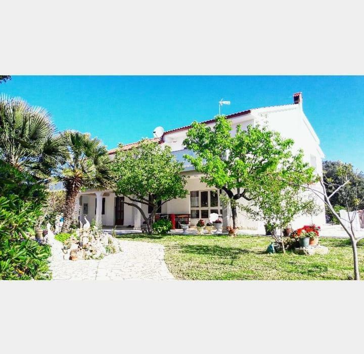 Apartman Miljenko - Matovica Kampor Εξωτερικό φωτογραφία