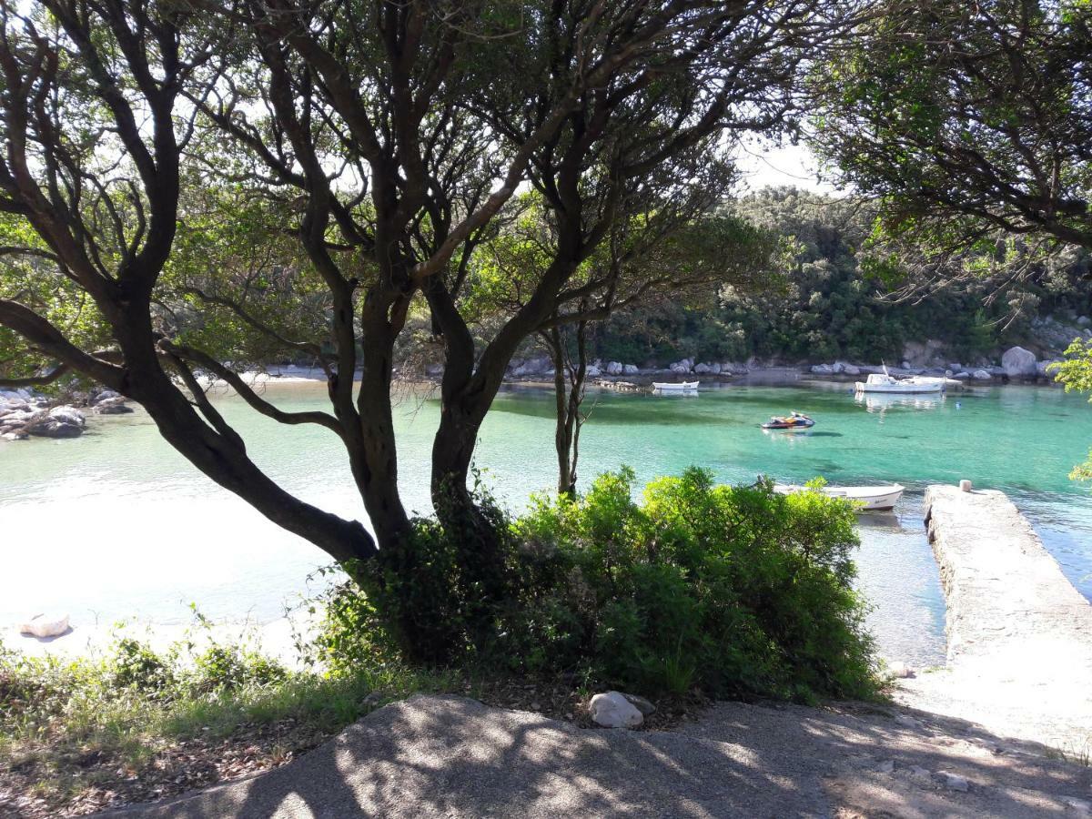 Apartman Miljenko - Matovica Kampor Εξωτερικό φωτογραφία